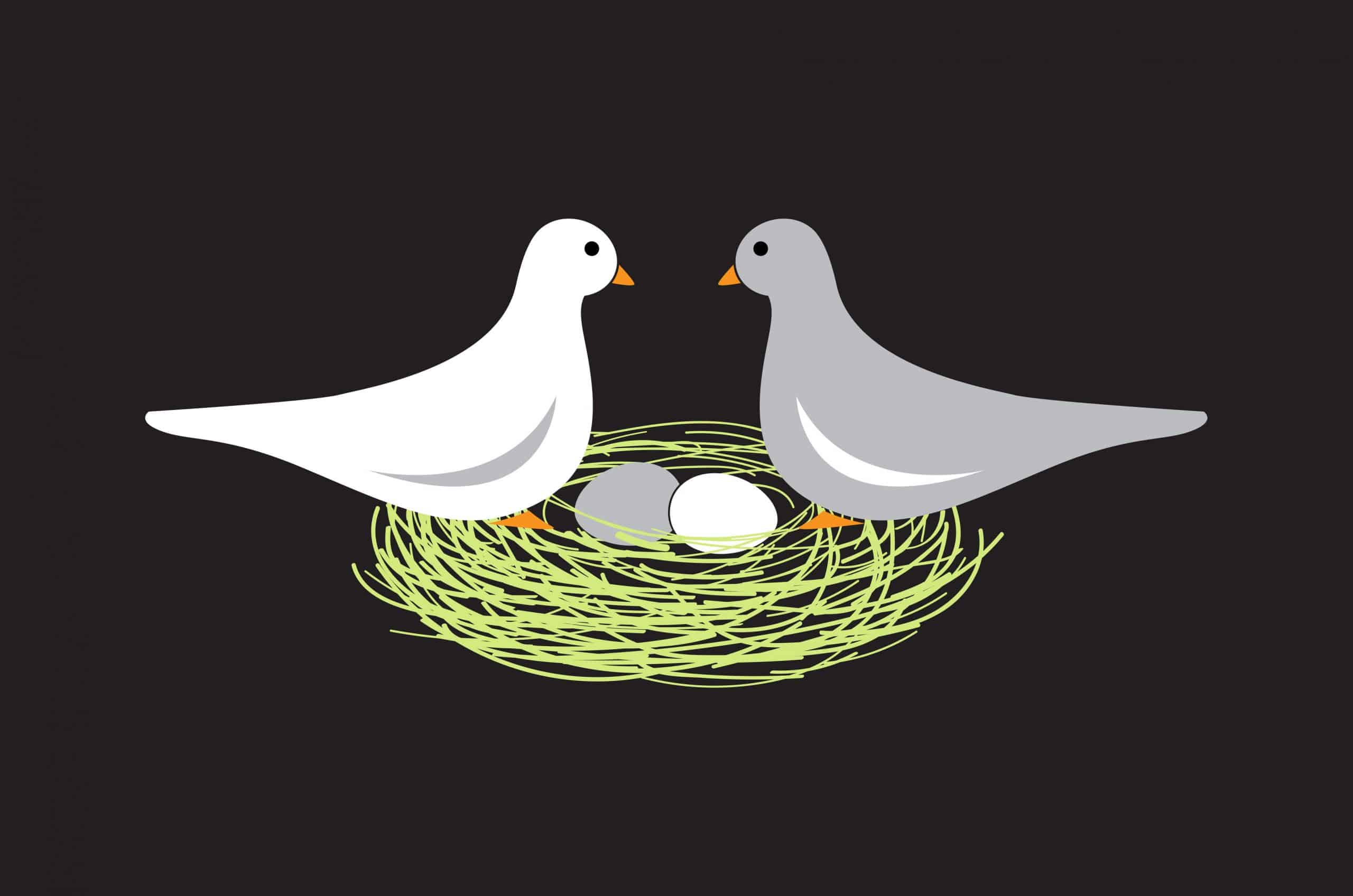 Two illustrated birds sit in a nest with two eggs